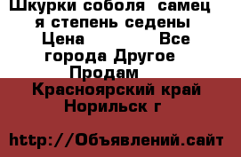 Шкурки соболя (самец) 1-я степень седены › Цена ­ 12 000 - Все города Другое » Продам   . Красноярский край,Норильск г.